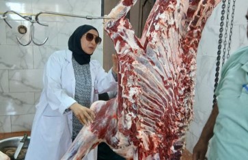 صوره ارشيفيه