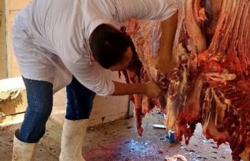 مجزر