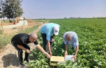 صوره ارشيفيه 