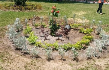 صوره ارشيفيه