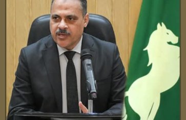 محافظ الشرقية 
