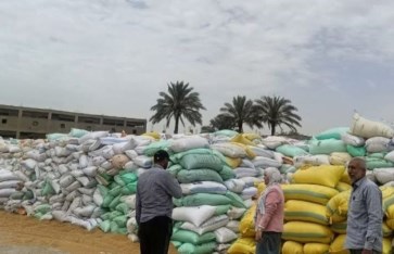 صوره ارشيفيه 