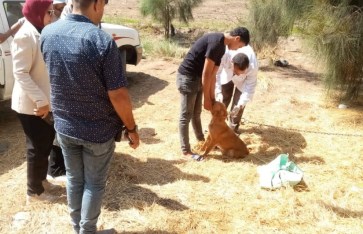 صوره ارشيفيه 