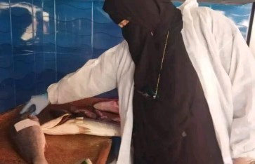 الحملات التفتيشية 