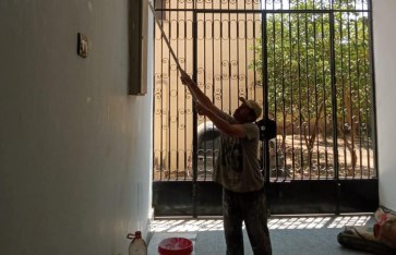صوره ارشيفيه