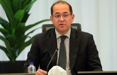 وزير المالية