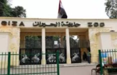 حديقة الحيوان 