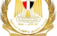 وزارة التموين 