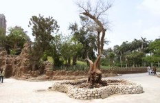 حديقة الأسماك 