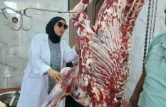 صوره ارشيفيه