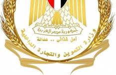 وزاره التموين 
