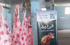 مصر الخير 