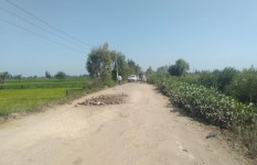 طريق "دسوق – البياض