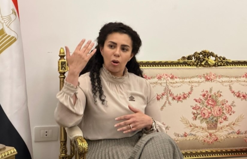 النائبة سها سعيد النائبة سها سعيد