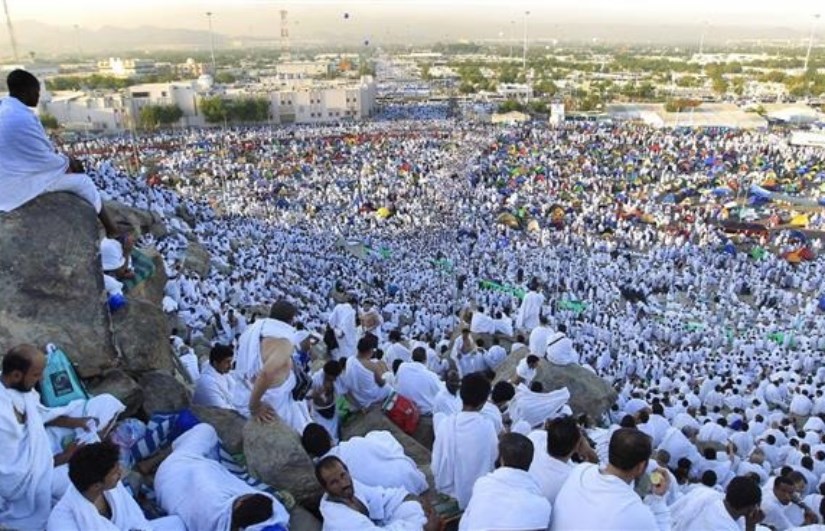 الحجاج الحجاج