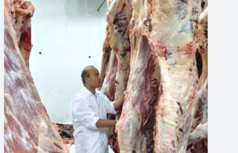 صورة ارشيفية صورة ارشيفية