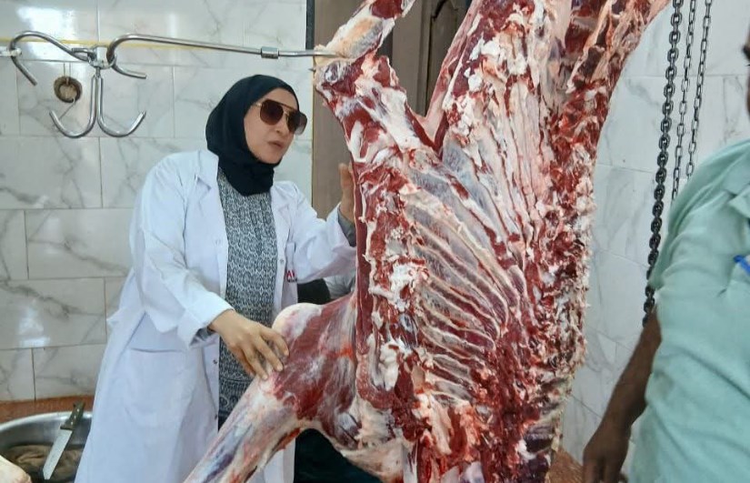 صوره ارشيفيه صوره ارشيفيه