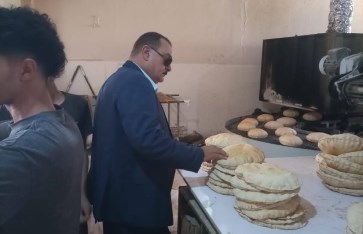 الحملات التفتيشية 
