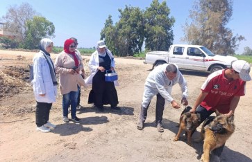 تطعيم الكلاب الضاله 