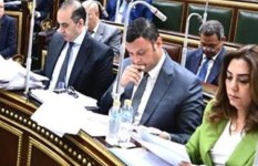 الحكومة في البرلمان 