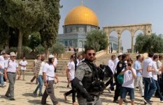 مستوطنون يقتحمون المسجد الأقصى تحت حماية الشرطة الإسرائيلية
