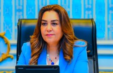 وزيرة التنمية المحلية