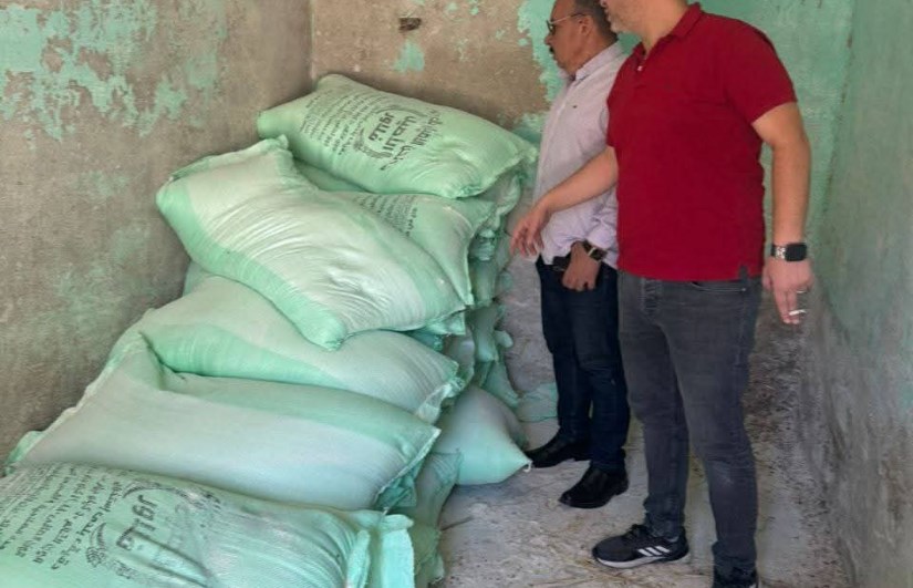 دقيق بلدي دقيق بلدي