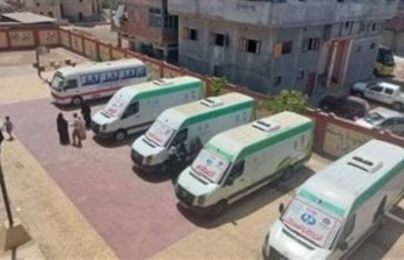 صحة الإسكندرية