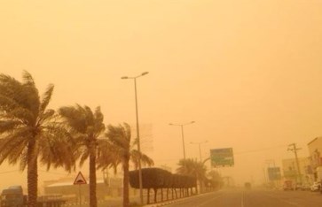 صورة أرشيفية  صورة أرشيفية