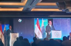 الدكتور عمرو قنديل