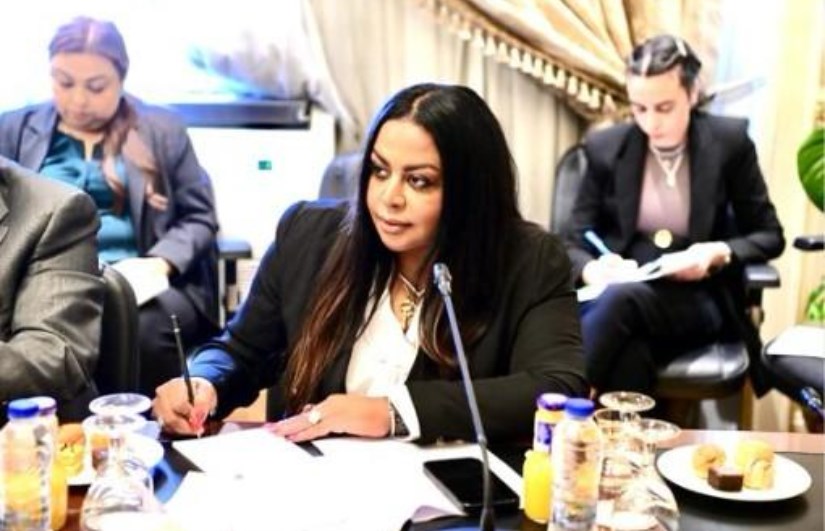 النائبة نيفين حمدي النائبة نيفين حمدي