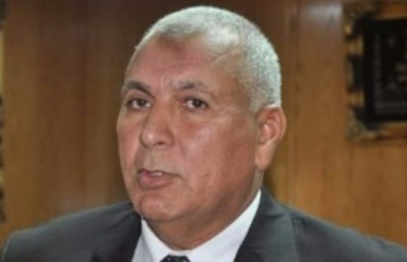 محافظ الوادي الجديد محمد الزملوط