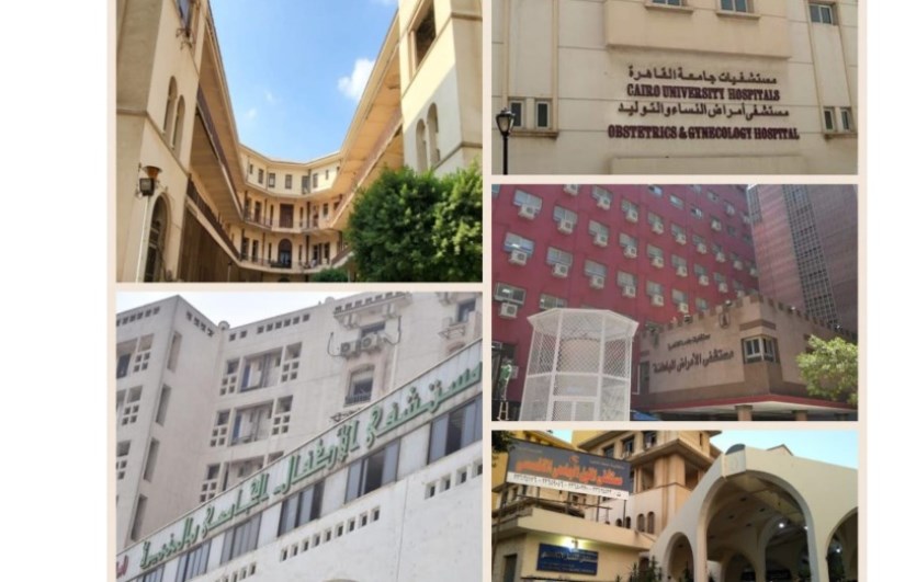 القصر العيني 