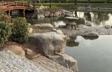 افتتاح الحديقة اليابانية بحلوان