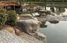 افتتاح الحديقة اليابانية بحلوان