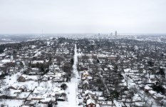 الولايات الأمريكية