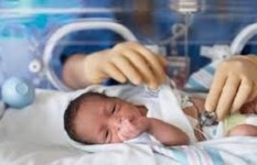 حديثي الولادة