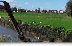 تطهير الترع والمصارف