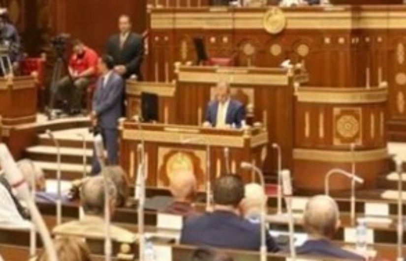 جانب من الجلسة 