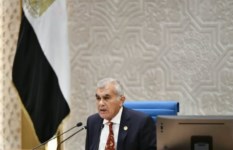 المستشار عصام فريد