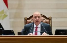 المستشار هشام بدوي