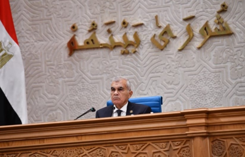المستشار عصام فريد
