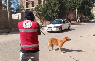 جانب من التحصين