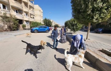 حملات تحصين وتعقيم