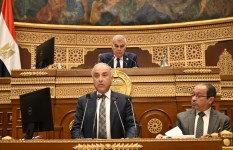 المستشار عصام فريد