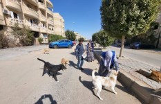 الحملة القومية لمكافحة مرض السعار