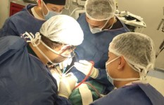 جانب من العملية 