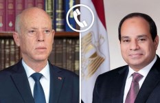 الرئيس السيسي ونظيره التونسي