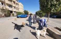 حملات تحصين وتعقيم