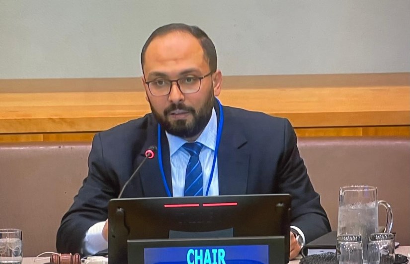 مساعد وزير المالية